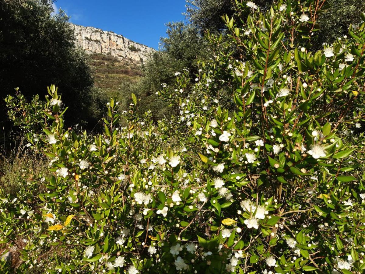 A Casa Di Carla Apartman Terracina Kültér fotó