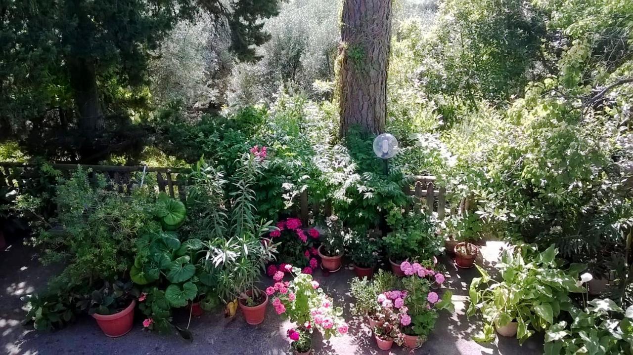 A Casa Di Carla Apartman Terracina Kültér fotó